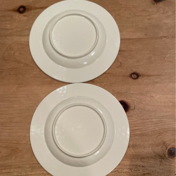 Williams Sonoma set of 2 Rustic White Crackle Melamine Farmhouse salad plates - Picture 3 of 5